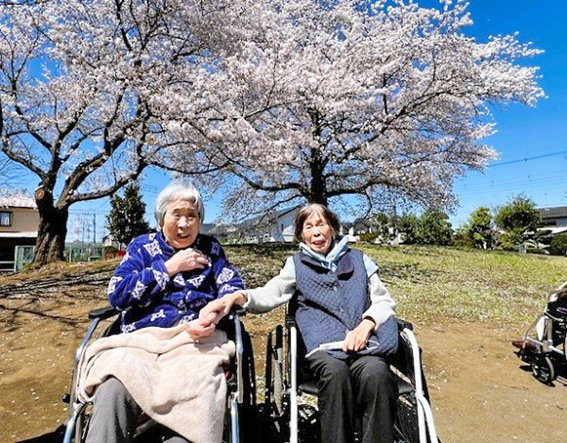 晴天のお花見