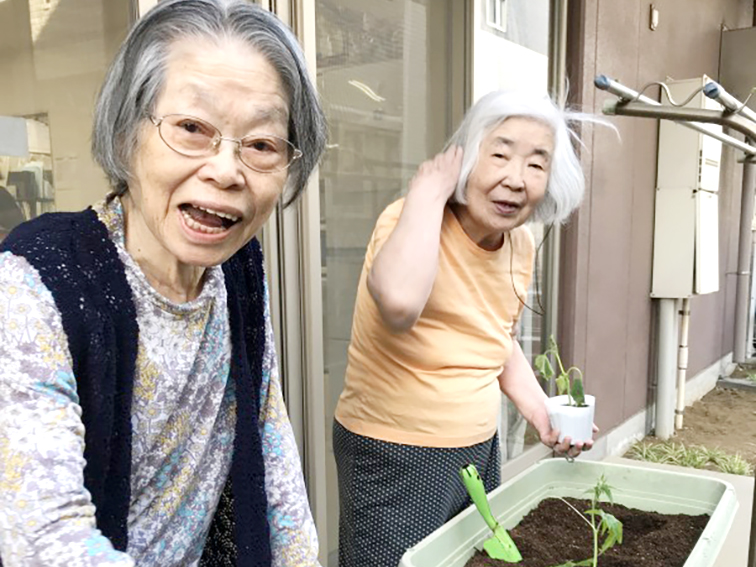 家庭菜園